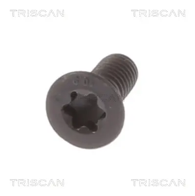 Schraube, Bremsscheibe TRISCAN 8105 11667 Bild Schraube, Bremsscheibe TRISCAN 8105 11667