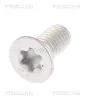 Schraube, Bremsscheibe TRISCAN 8105 11671