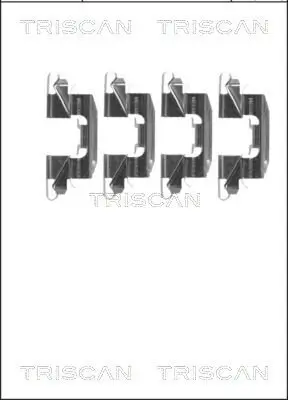 Zubehörsatz, Scheibenbremsbelag Hinterachse TRISCAN 8105 141598