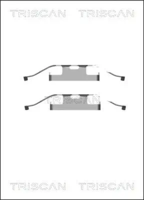 Zubehörsatz, Scheibenbremsbelag Hinterachse TRISCAN 8105 291609