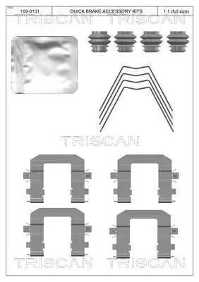 Zubehörsatz, Scheibenbremsbelag TRISCAN 8105 431663