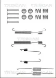 Zubehörsatz, Bremsbacken Hinterachse TRISCAN 8105 432003