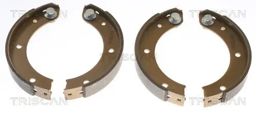 Bremsbelagsatz, Scheibenbremse Vorderachse TRISCAN 8110 20003