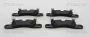 Bremsbelagsatz, Scheibenbremse TRISCAN 8110 20005