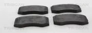 Bremsbelagsatz, Scheibenbremse TRISCAN 8110 23068