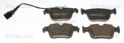 Bremsbelagsatz, Scheibenbremse TRISCAN 8110 291011