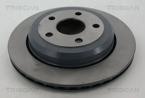 Bremsscheibe Hinterachse TRISCAN 8120 101074C Bild Bremsscheibe Hinterachse TRISCAN 8120 101074C