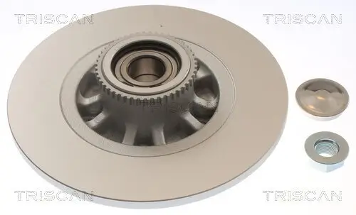 Bremsscheibe Hinterachse TRISCAN 8120 101124C Bild Bremsscheibe Hinterachse TRISCAN 8120 101124C