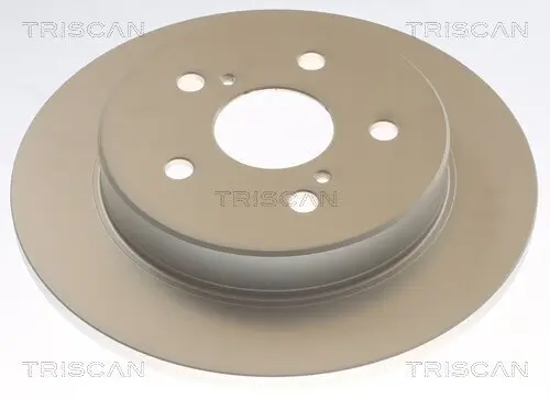 Bremsscheibe Hinterachse TRISCAN 8120 131066C
