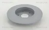 Bremsscheibe Hinterachse TRISCAN 8120 231032C Bild Bremsscheibe Hinterachse TRISCAN 8120 231032C