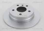 Bremsscheibe Hinterachse TRISCAN 8120 23174C