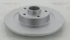 Bremsscheibe Hinterachse TRISCAN 8120 25169C Bild Bremsscheibe Hinterachse TRISCAN 8120 25169C