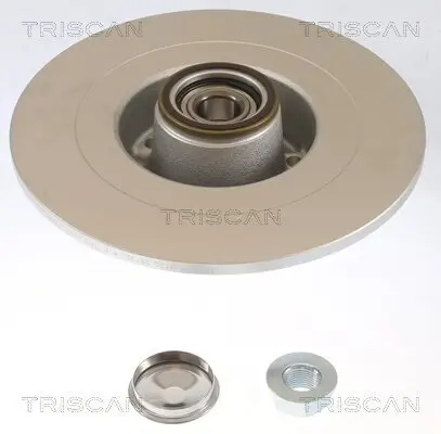 Bremsscheibe Hinterachse TRISCAN 8120 25170C Bild Bremsscheibe Hinterachse TRISCAN 8120 25170C
