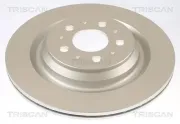 Bremsscheibe Hinterachse TRISCAN 8120 81004C