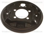 Spritzblech, Bremsscheibe Hinterachse links TRISCAN 8125 13207