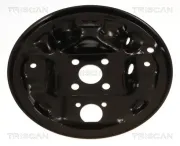 Spritzblech, Bremsscheibe Hinterachse links TRISCAN 8125 14213