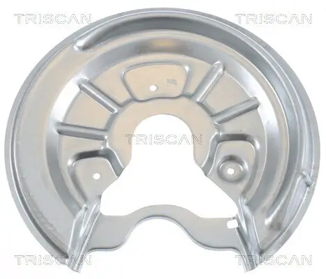 Spritzblech, Bremsscheibe Hinterachse rechts TRISCAN 8125 29203