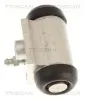 Radbremszylinder Hinterachse TRISCAN 8130 29029 Bild Radbremszylinder Hinterachse TRISCAN 8130 29029