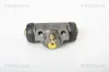 Radbremszylinder TRISCAN 8130 42022