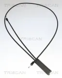 Motorhaubenzug TRISCAN 8140 11604