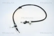 Seilzug, Feststellbremse hinten rechts TRISCAN 8140 12124