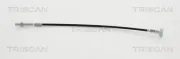 Seilzug, Feststellbremse vorne TRISCAN 8140 131198