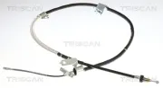 Seilzug, Feststellbremse TRISCAN 8140 131366