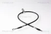Seilzug, Feststellbremse hinten links TRISCAN 8140 141161