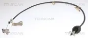 Seilzug, Feststellbremse vorne TRISCAN 8140 141184