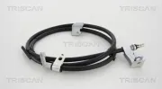 Seilzug, Feststellbremse hinten links TRISCAN 8140 14191