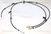 Seilzug, Feststellbremse hinten links hinten rechts TRISCAN 8140 161213