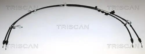 Seilzug, Feststellbremse hinten links hinten rechts TRISCAN 8140 161221