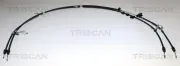 Seilzug, Feststellbremse hinten links hinten rechts TRISCAN 8140 161221