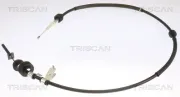 Seilzug, Feststellbremse hinten links TRISCAN 8140 17161