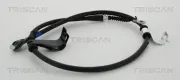Seilzug, Feststellbremse hinten links TRISCAN 8140 181135