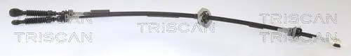 Seilzug, Schaltgetriebe TRISCAN 8140 18706