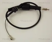 Gaszug TRISCAN 8140 24316