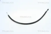 Seilzug, Feststellbremse hinten links TRISCAN 8140 25187