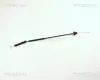 Gaszug TRISCAN 8140 25312