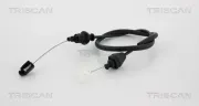 Gaszug TRISCAN 8140 25322