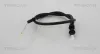 Gaszug TRISCAN 8140 25344