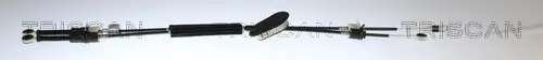 Seilzug, Schaltgetriebe TRISCAN 8140 25753