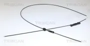Motorhaubenzug TRISCAN 8140 27616