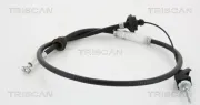 Seilzug, Kupplungsbetätigung TRISCAN 8140 29255