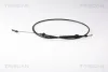 Gaszug TRISCAN 8140 29357