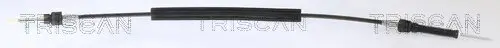 Seilzug, Schaltgetriebe TRISCAN 8140 29727 Bild Seilzug, Schaltgetriebe TRISCAN 8140 29727