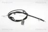 Seilzug, Feststellbremse hinten links TRISCAN 8140 401102