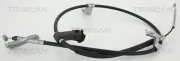 Seilzug, Feststellbremse hinten rechts TRISCAN 8140 40152
