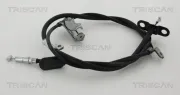 Seilzug, Feststellbremse hinten links TRISCAN 8140 40187