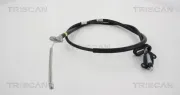 Seilzug, Feststellbremse TRISCAN 8140 41124